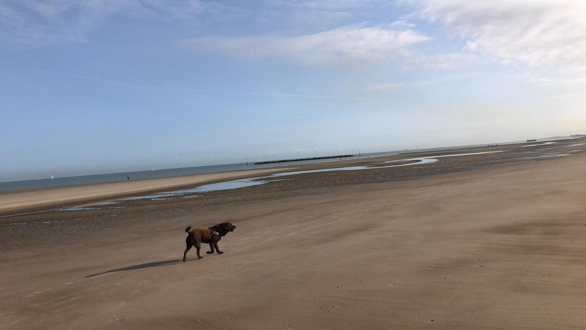 Appartement Sur La Plage De Malo Les Bains Vue Mer Duinkerke Buitenkant foto