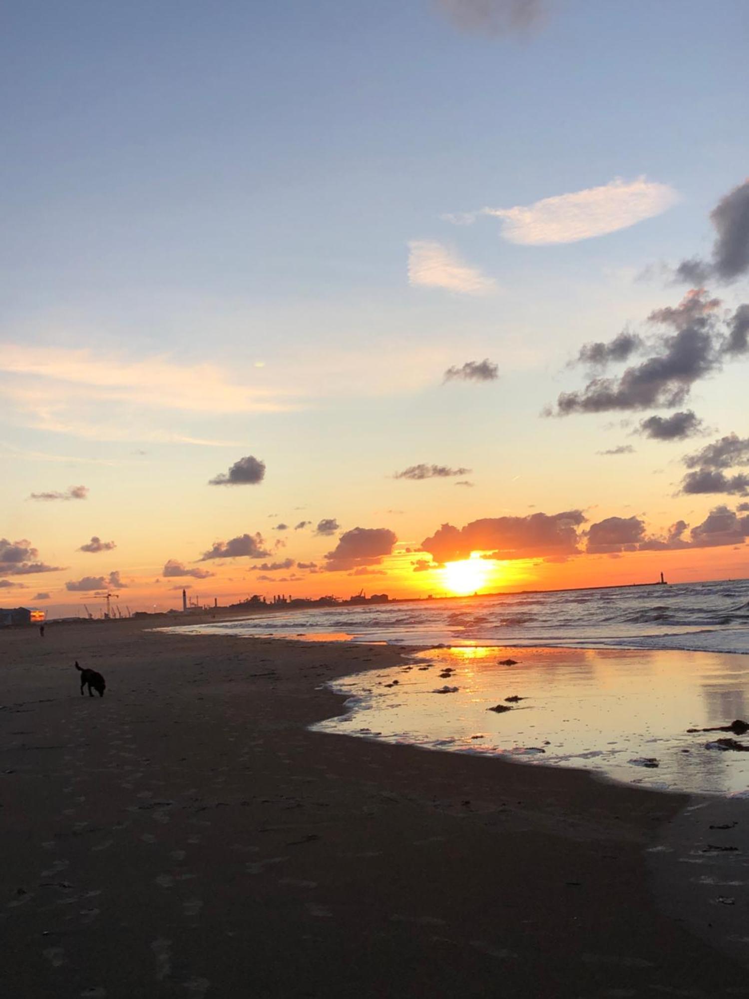 Appartement Sur La Plage De Malo Les Bains Vue Mer Duinkerke Buitenkant foto